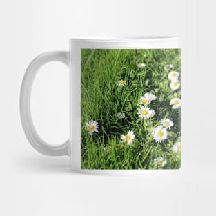 Lawn with Daisies Mug